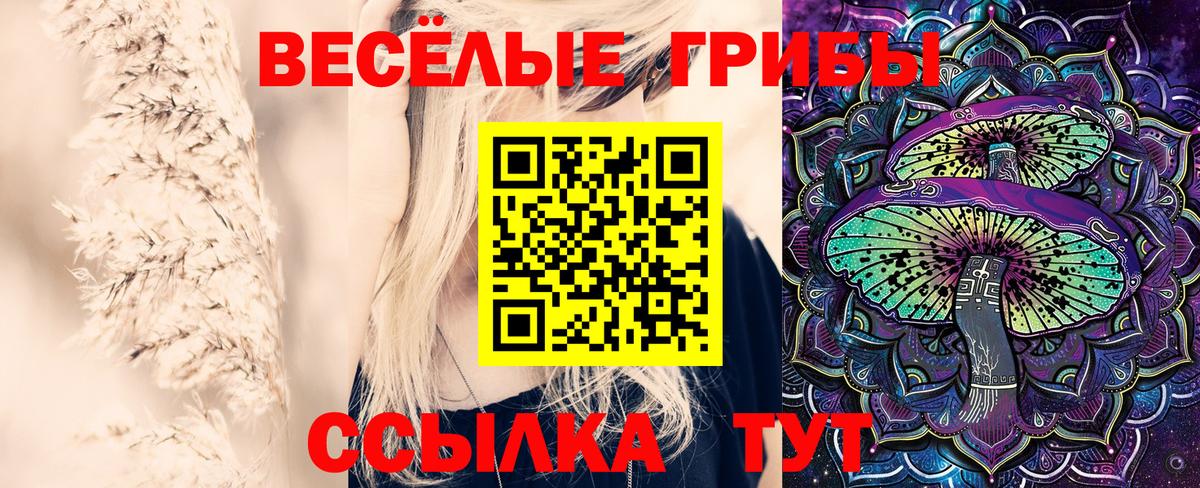 магазин продажи   Вход с VPN  Орск  Галлюциногенные грибы Magic Shrooms 