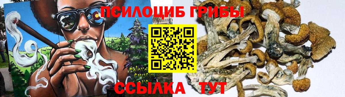 Псилоцибиновые грибы Psilocybine cubensis Орск